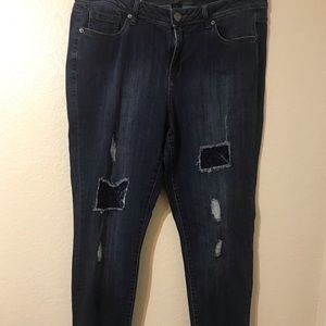 Lane Bryant Jeans